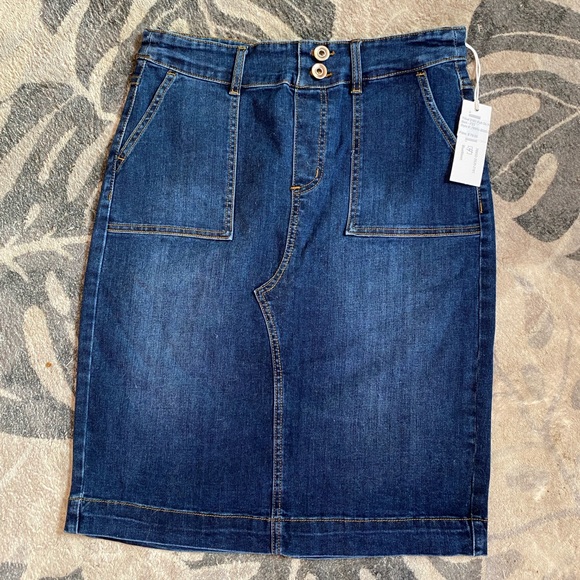 Blue Knee-Length Pencil Skirt Women’s Size 4